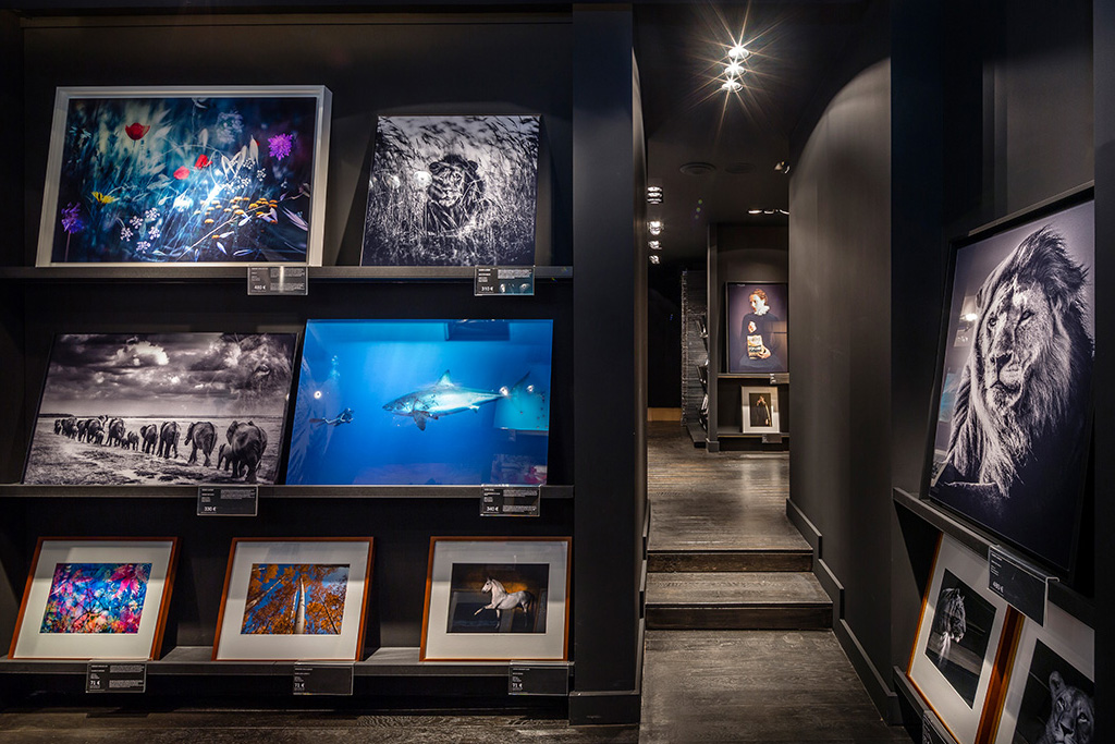 Yellowkorner reviews picture