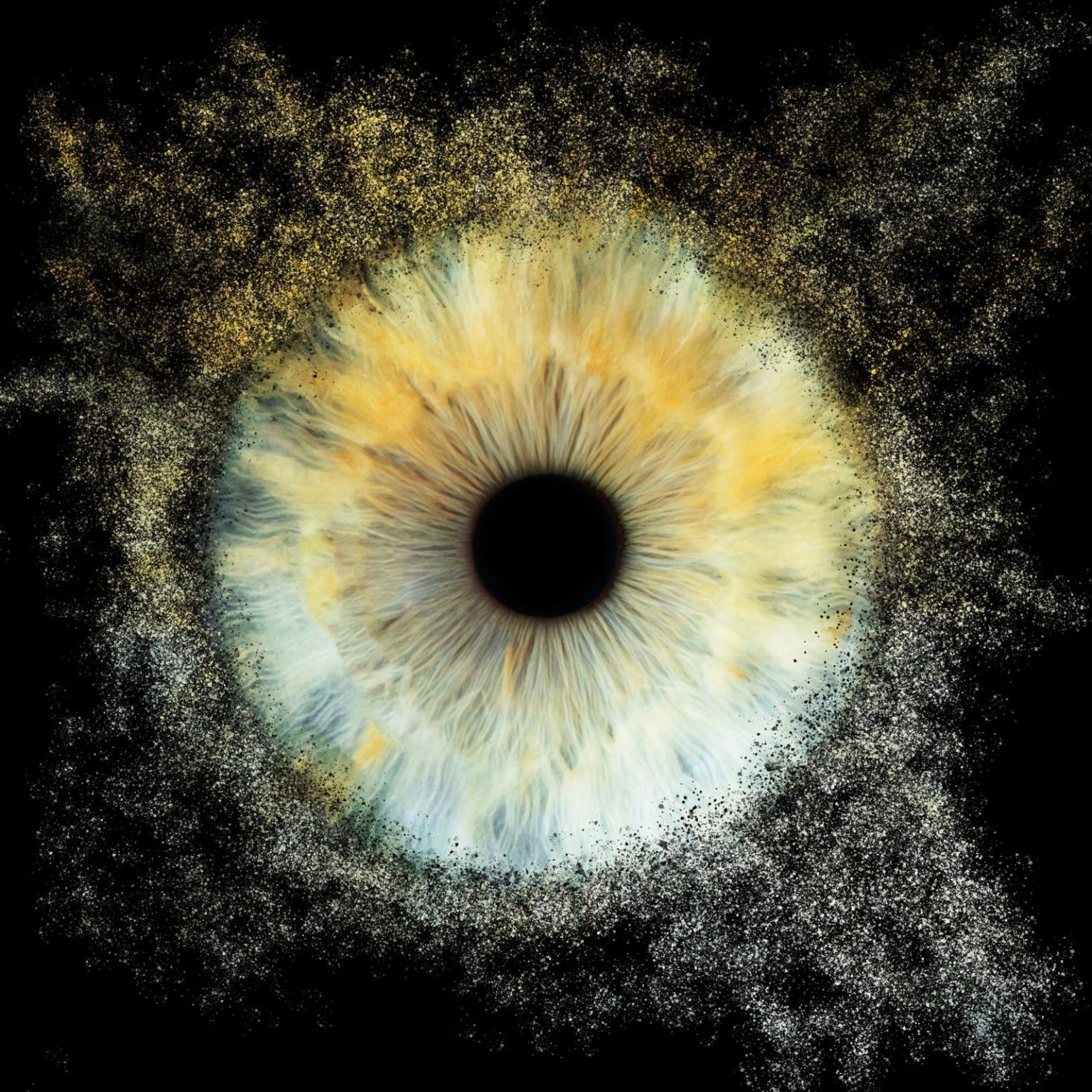 Iris Galerie Franchise Your Eye For Art