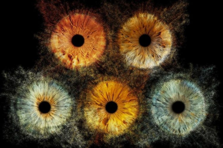 Iris Galerie Franchise Your Eye For Art